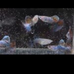 Story Guppy Farm (12)