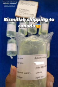 Testimoni Story Guppy (16)