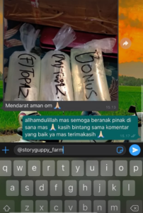 Testimoni Story Guppy (3)