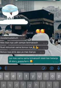 Testimoni Story Guppy (4)