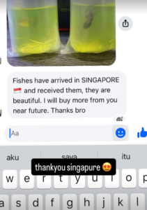 Testimoni Story Guppy (8)