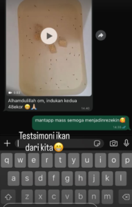 Testimoni Story Guppy (9)